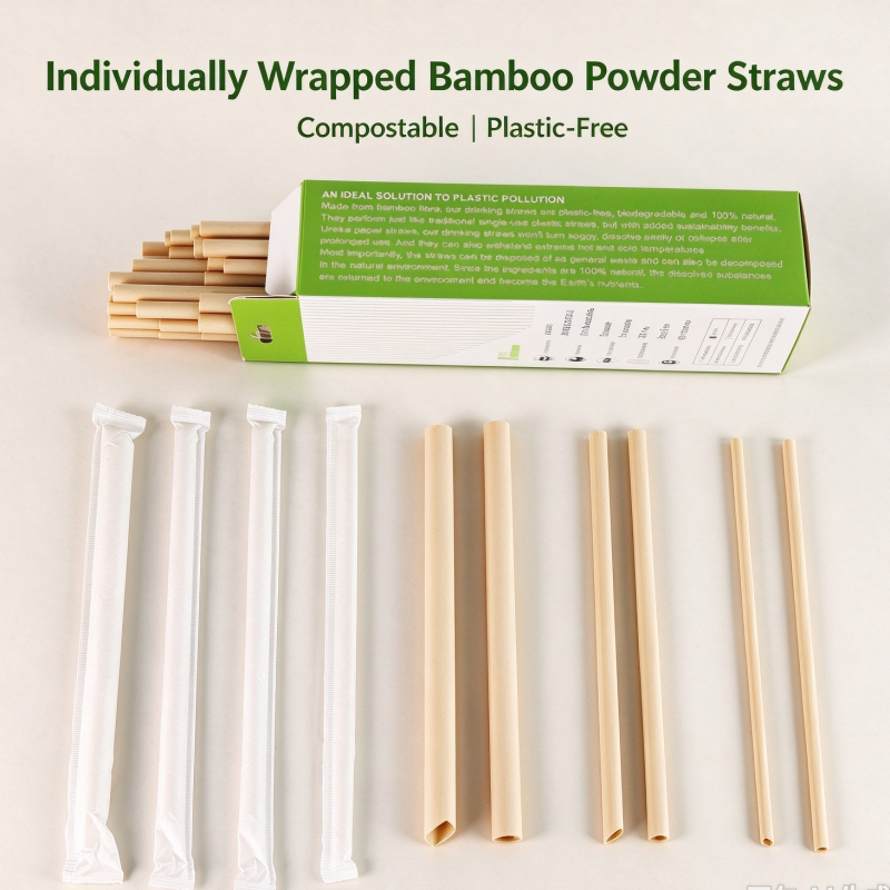 Individually Wrapped Bamboo Straws